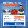 3 đơn tts tháng 1/2026 – thu nhập hấp dẫn tuyển sll