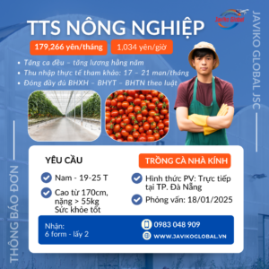 3 đơn tts tháng 1/2026 – thu nhập hấp dẫn tuyển sll